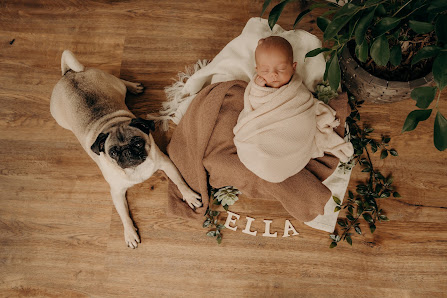 JOLLI Fotografie- emotionale Fotografie für Baby, Familie & Hochzeit