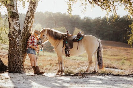 Hochzeitsfotograf | Paarfotograf | Tierfotograf -Haensch