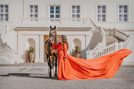 Sophie Lachmann Fotografie