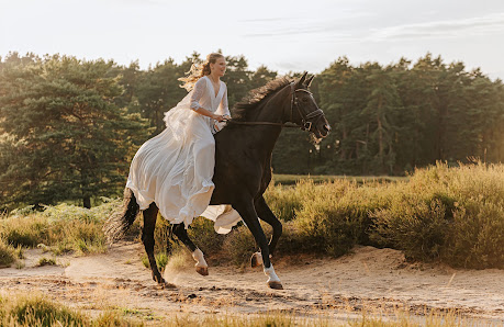 Herdenspicturemoments-Fotografie
