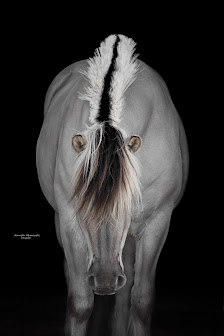 Jennifer Mrozewski Fotografie