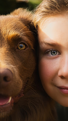 Aileen Schüttauf Fotografie