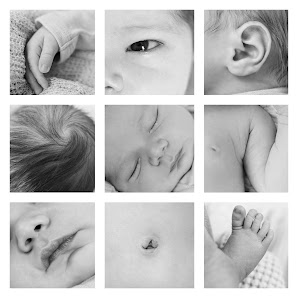 Pure Family Photography