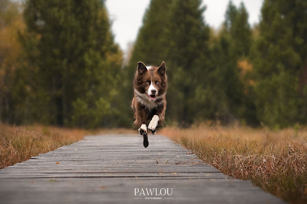 Pawlou Photography
