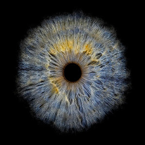 Iris Atelier by Florian Böhm - Iris Fotografie Augsburg