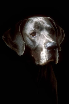 Foto Hecht Andreas