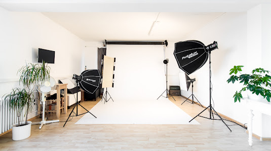 Dog Studio Tierfotografie