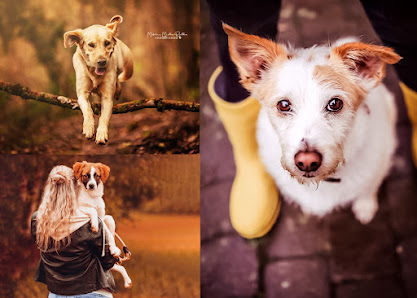 MMR Fotografie Tier-Mensch Fotograf aus der Nähe von Freiburg