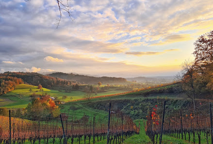 Tinas Fotofokus