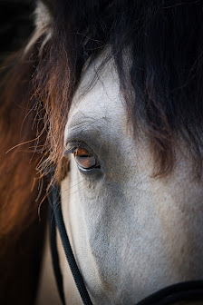 Oliver Lentzen Photografie