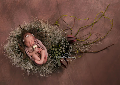 Portakal Photography Fotostudio