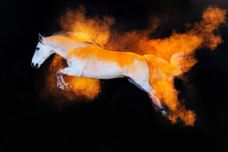 Miriam Merkel Fotografie