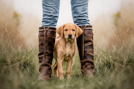 Beate Schmahl Photographie