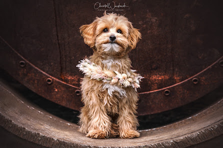 Charliegraphie Photoart