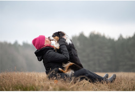 Tierfotografie aus Lübeck und an der Ostsee - Kathygrafie