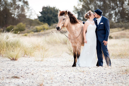 Equinemoments Pferdefotografie