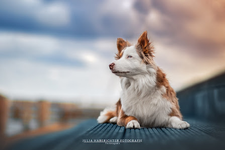 Julia Haberichter Fotografie