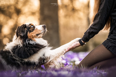 Pawerful Moments - Tierfotografie Saarland