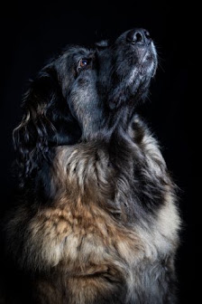 Tim Theissen Fotografie