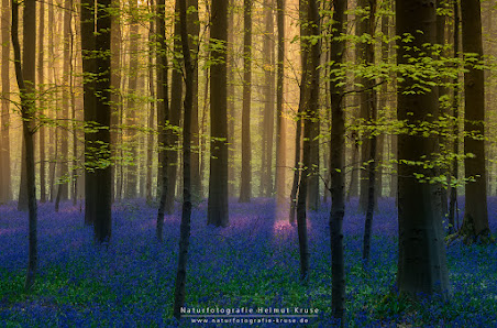 Naturfotografie Kruse