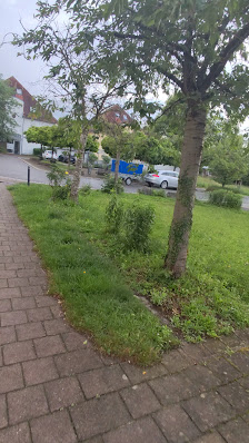Babyfotografie
