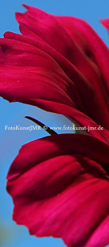 Fotokunst JMR Fotografie Bring die Kunst zu dir nach Hause