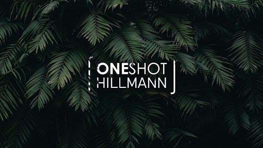 ONESHOT Hillmann