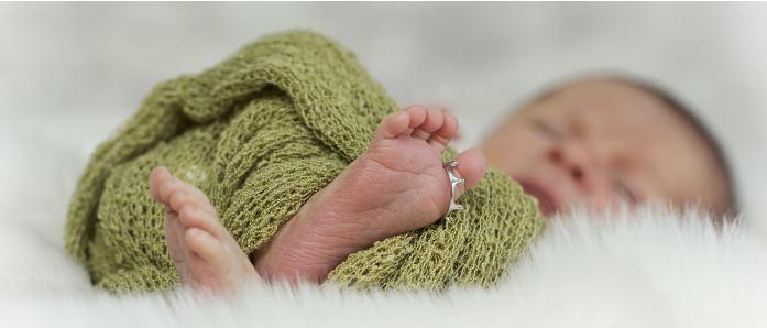Little Dreams Photography