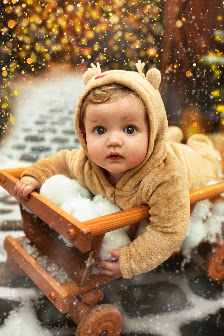 Izabela Miszta Fotografie