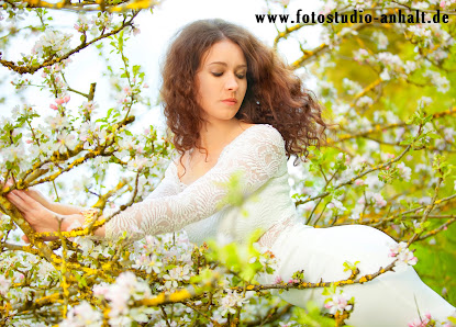 fotostudio-anhalt.de
