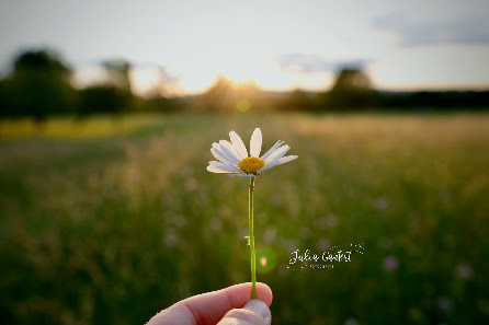 Julia Gantert Fotografie