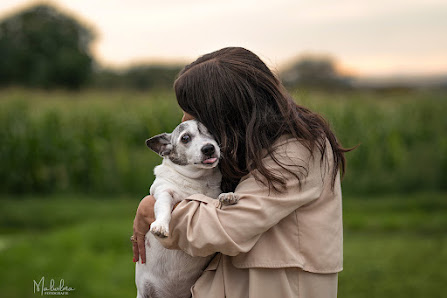 Malwilma Fotografie - Hundefotografie/Tierfotografie