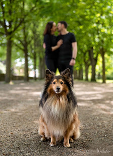 Malwilma Fotografie - Hundefotografie/Tierfotografie
