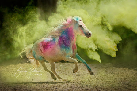 Fotografie Simone Kochanek