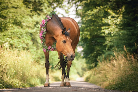 Ronja Prokosch Fotografie