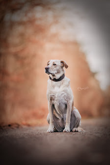 Ronja Prokosch Fotografie