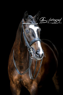 as-fotograf