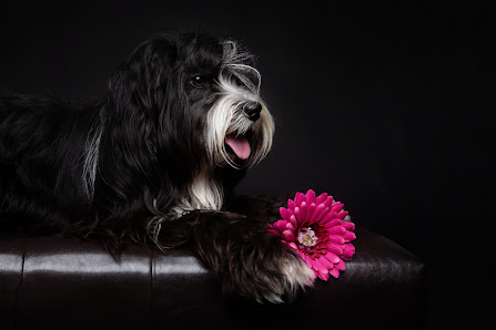 PIXELSCHMIEDE by Micha Fischer Photography