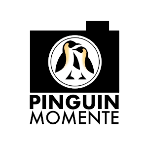 Marco Bachmann Fotograf - Pinguin Momente