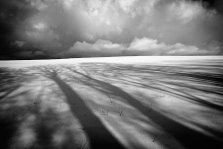 Der Auslöser Sven Falk Fotografie