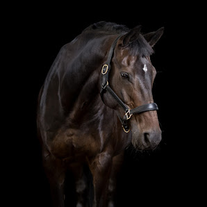 Benjamin Kottysch Photography