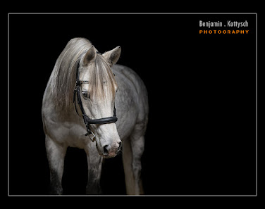 Benjamin Kottysch Photography