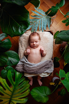 MOIN BABY Neugeborenenfotografie