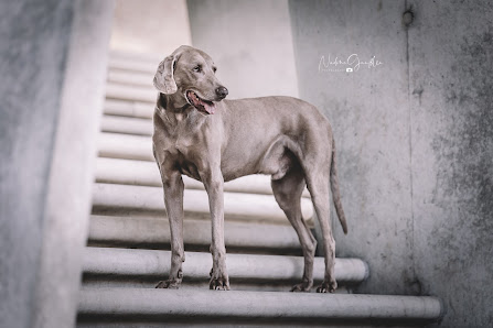 Nadine Gänßlen Photography
