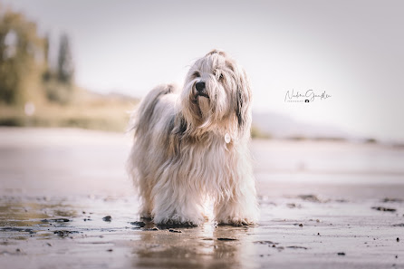 Nadine Gänßlen Photography