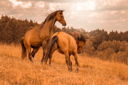 Kim Unger Photography
