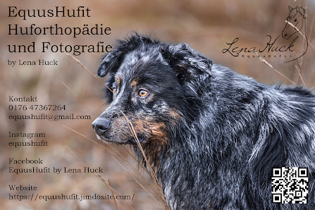 EquusHufit Huforthopädie, Hufpflege, Hufschuhe, Fotografie