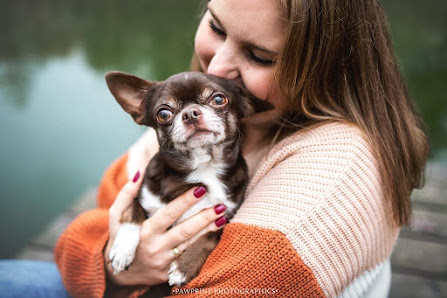 Pawprint Photographics Tierfotografie