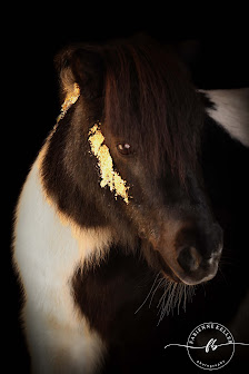 Fabienne Keller Photography