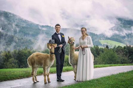 Francesco Sabatino Fotografie